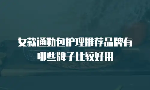 女款通勤包护理推荐品牌有哪些牌子比较好用