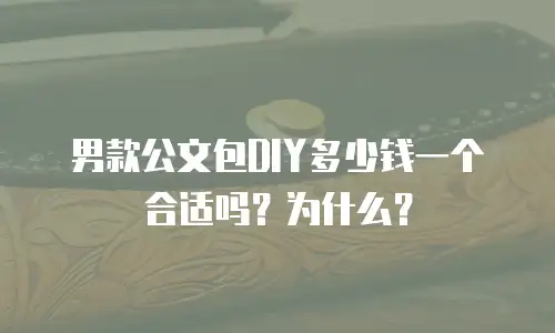 男款公文包DIY多少钱一个合适吗？为什么？