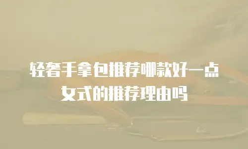 轻奢手拿包推荐哪款好一点女式的推荐理由吗