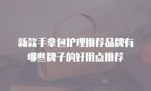 新款手拿包护理推荐品牌有哪些牌子的好用点推荐