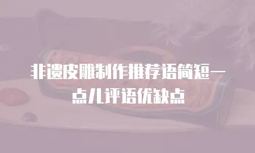 非遗皮雕制作推荐语简短一点儿评语优缺点