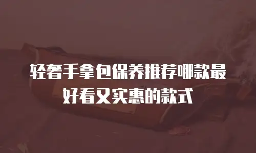 轻奢手拿包保养推荐哪款最好看又实惠的款式