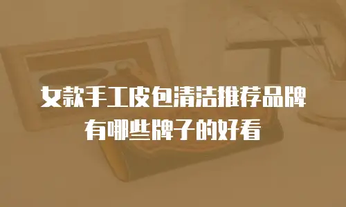 女款手工皮包清洁推荐品牌有哪些牌子的好看