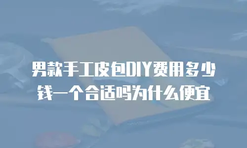 男款手工皮包DIY费用多少钱一个合适吗为什么便宜
