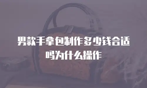 男款手拿包制作多少钱合适吗为什么操作