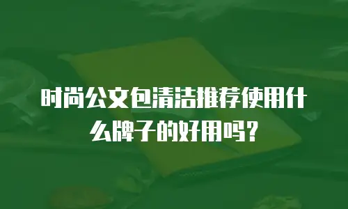 时尚公文包清洁推荐使用什么牌子的好用吗？