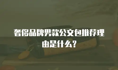奢侈品牌男款公文包推荐理由是什么？