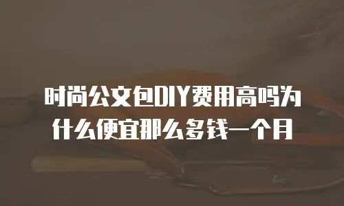 时尚公文包DIY费用高吗为什么便宜那么多钱一个月