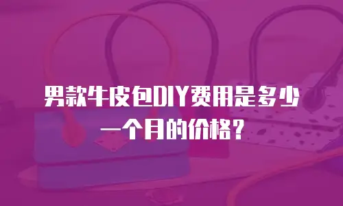男款牛皮包DIY费用是多少一个月的价格？