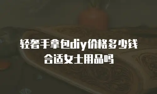 轻奢手拿包diy价格多少钱合适女士用品吗