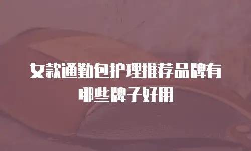 女款通勤包护理推荐品牌有哪些牌子好用