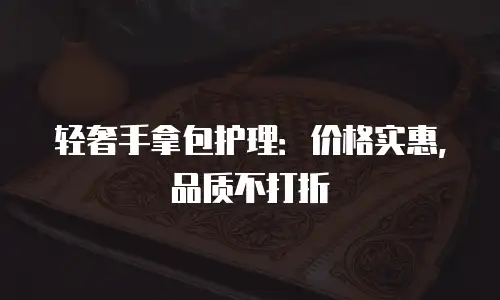 轻奢手拿包护理：价格实惠，品质不打折