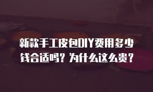 新款手工皮包DIY费用多少钱合适吗？为什么这么贵？