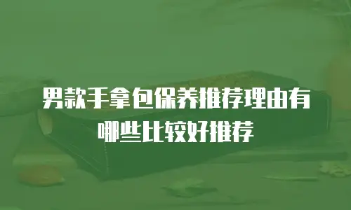 男款手拿包保养推荐理由有哪些比较好推荐
