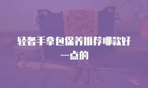 轻奢手拿包保养推荐哪款好一点的