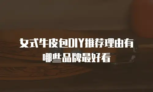 女式牛皮包DIY推荐理由有哪些品牌最好看