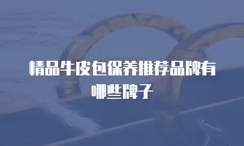 精品牛皮包保养推荐品牌有哪些牌子