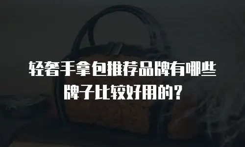 轻奢手拿包推荐品牌有哪些牌子比较好用的？