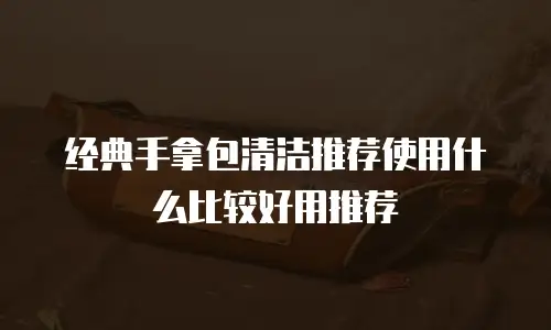 经典手拿包清洁推荐使用什么比较好用推荐