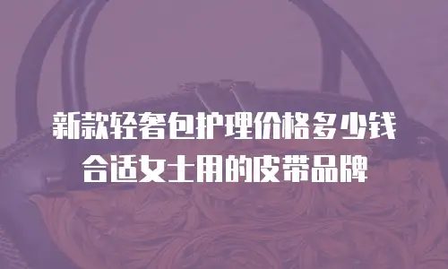 新款轻奢包护理价格多少钱合适女士用的皮带品牌