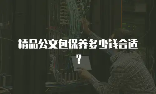 精品公文包保养多少钱合适？