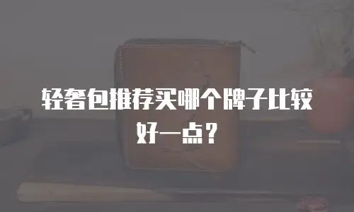 轻奢包推荐买哪个牌子比较好一点？