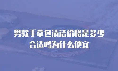 男款手拿包清洁价格是多少合适吗为什么便宜