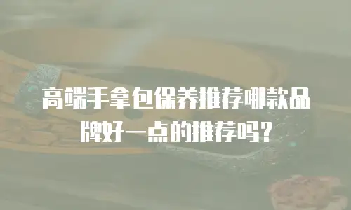 高端手拿包保养推荐哪款品牌好一点的推荐吗？
