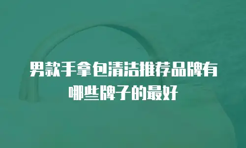 男款手拿包清洁推荐品牌有哪些牌子的最好