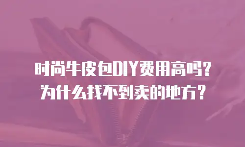 时尚牛皮包DIY费用高吗？为什么找不到卖的地方？