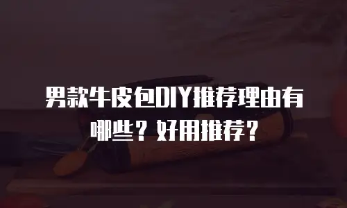 男款牛皮包DIY推荐理由有哪些？好用推荐？