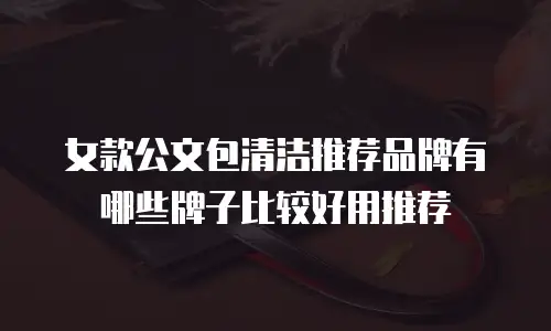 女款公文包清洁推荐品牌有哪些牌子比较好用推荐