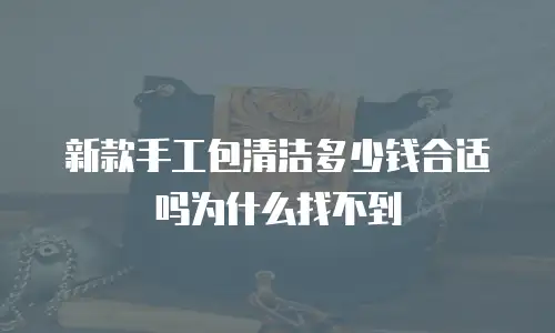 新款手工包清洁多少钱合适吗为什么找不到