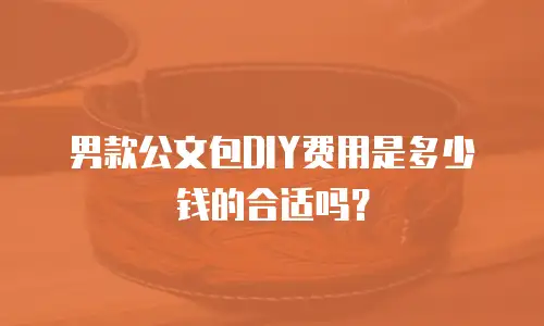 男款公文包DIY费用是多少钱的合适吗？