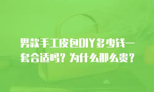 男款手工皮包DIY多少钱一套合适吗？为什么那么贵？