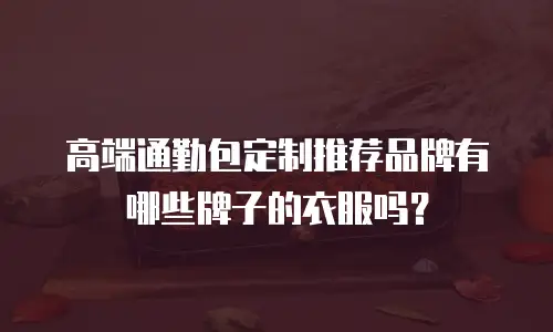 高端通勤包定制推荐品牌有哪些牌子的衣服吗？