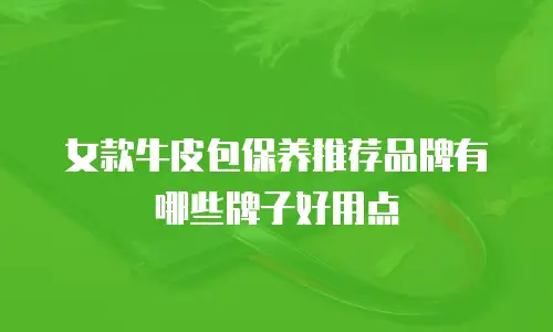 女款牛皮包保养推荐品牌有哪些牌子好用点