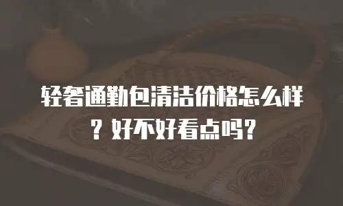 轻奢通勤包清洁价格怎么样？好不好看点吗？