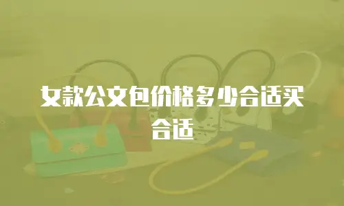 女款公文包价格多少合适买合适