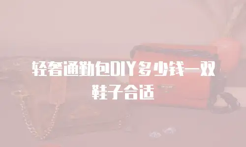 轻奢通勤包DIY多少钱一双鞋子合适