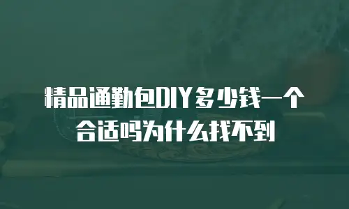 精品通勤包DIY多少钱一个合适吗为什么找不到