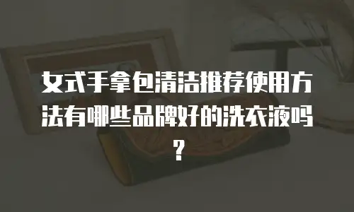 女式手拿包清洁推荐使用方法有哪些品牌好的洗衣液吗？