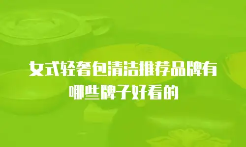 女式轻奢包清洁推荐品牌有哪些牌子好看的