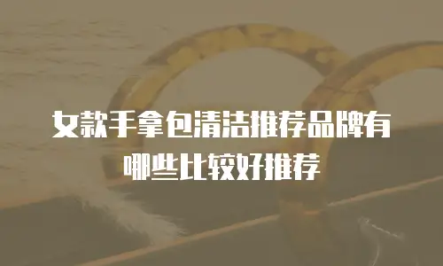 女款手拿包清洁推荐品牌有哪些比较好推荐