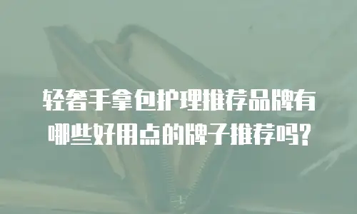 轻奢手拿包护理推荐品牌有哪些好用点的牌子推荐吗?