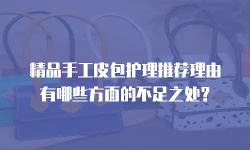 精品手工皮包护理推荐理由有哪些方面的不足之处？