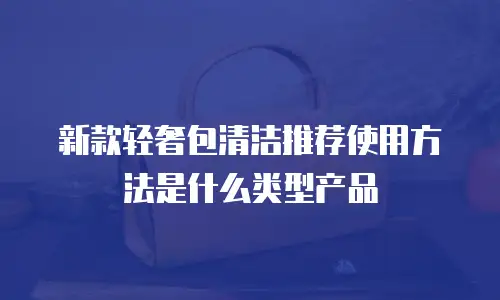 新款轻奢包清洁推荐使用方法是什么类型产品