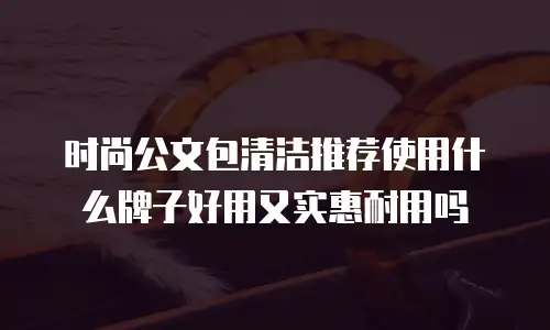 时尚公文包清洁推荐使用什么牌子好用又实惠耐用吗