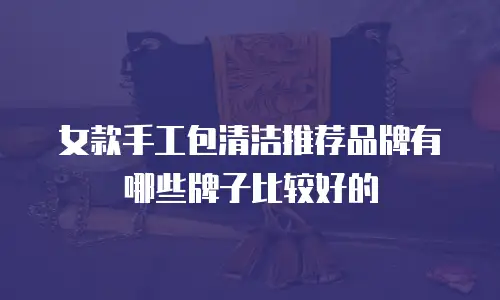 女款手工包清洁推荐品牌有哪些牌子比较好的