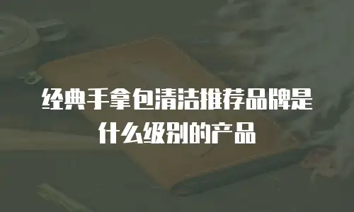 经典手拿包清洁推荐品牌是什么级别的产品